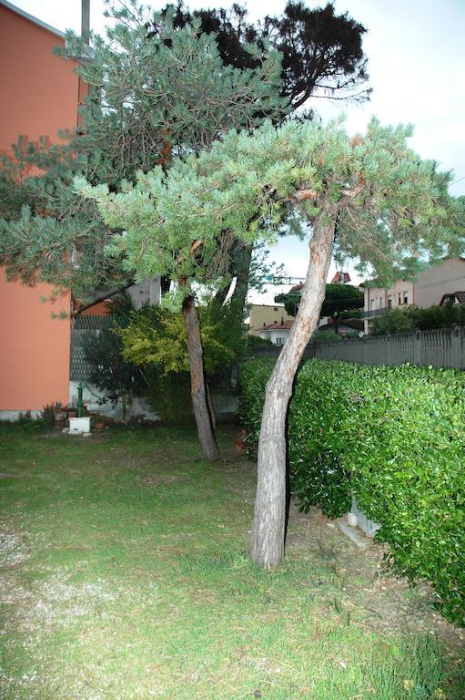 Villa Linda Affittacamere Bellaria-Igea Marina Exteriér fotografie